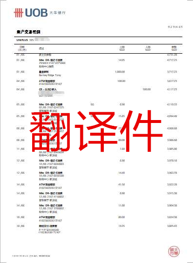 銀行流水明細錄入翻譯件